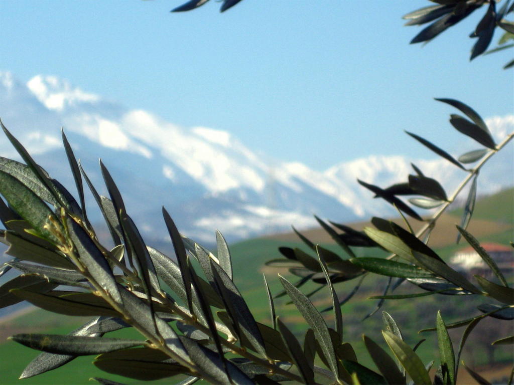 Agriturismo Cignale Penne エクステリア 写真