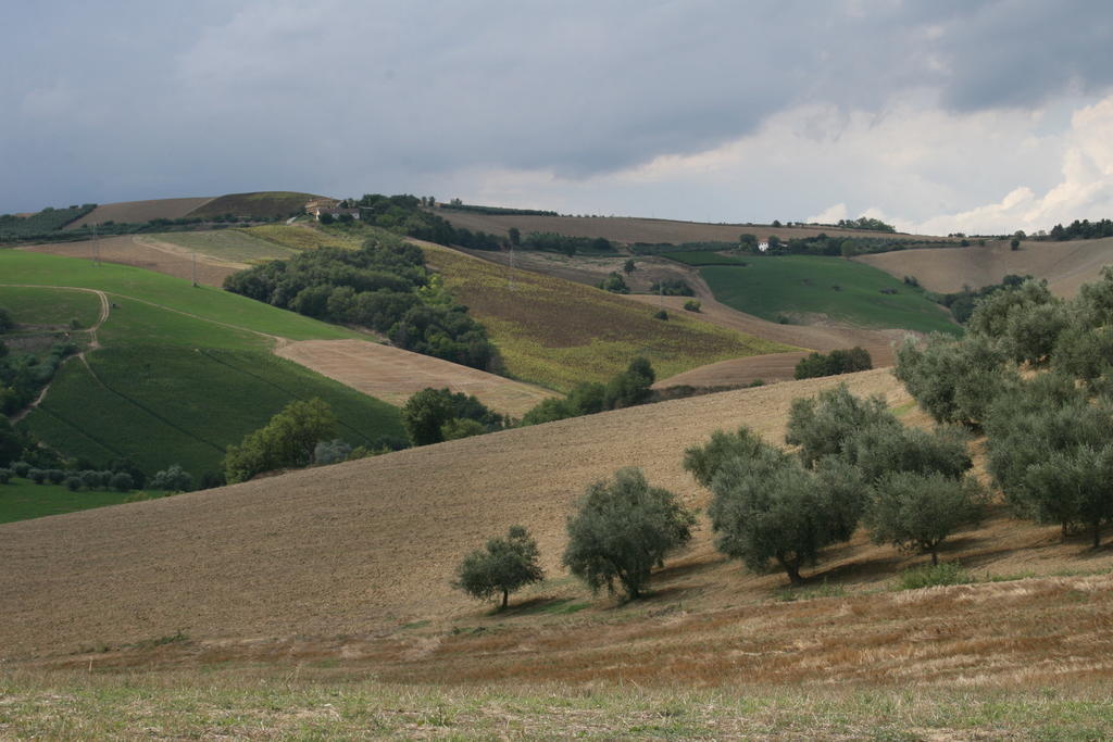 Agriturismo Cignale Penne エクステリア 写真