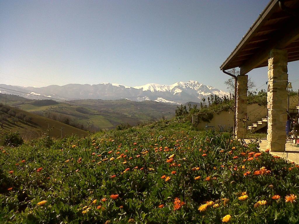 Agriturismo Cignale Penne エクステリア 写真