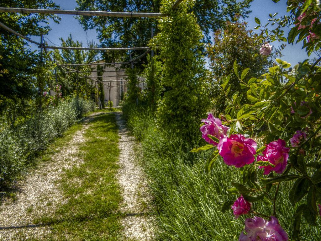 Agriturismo Cignale Penne エクステリア 写真