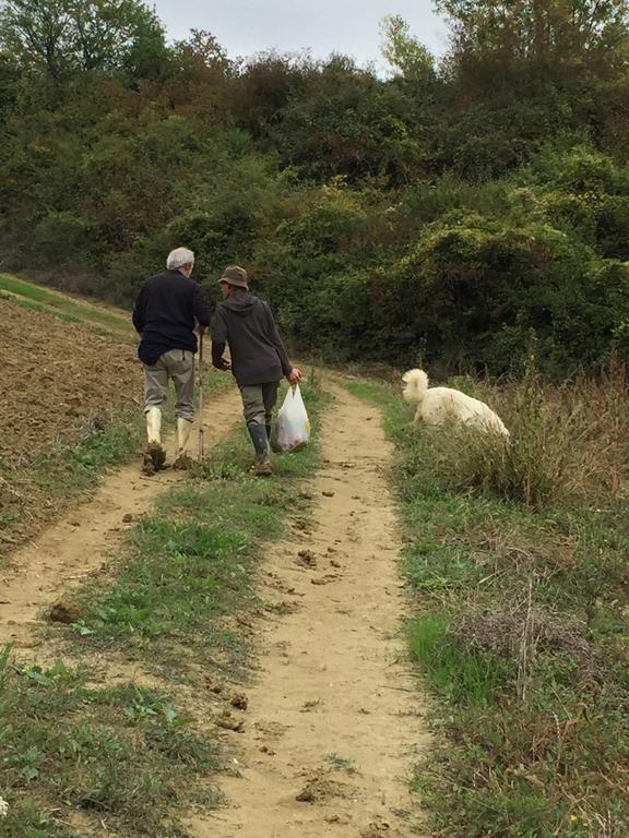 Agriturismo Cignale Penne エクステリア 写真