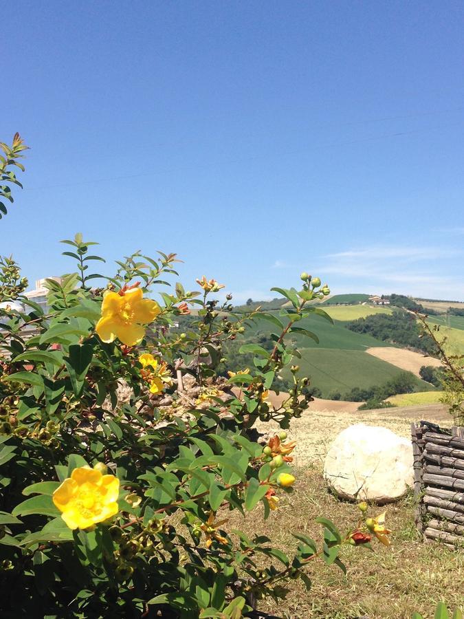 Agriturismo Cignale Penne エクステリア 写真