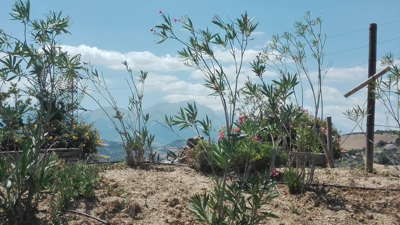 Agriturismo Cignale Penne エクステリア 写真