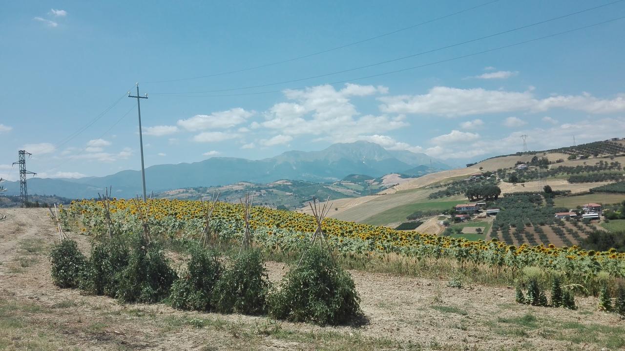 Agriturismo Cignale Penne エクステリア 写真