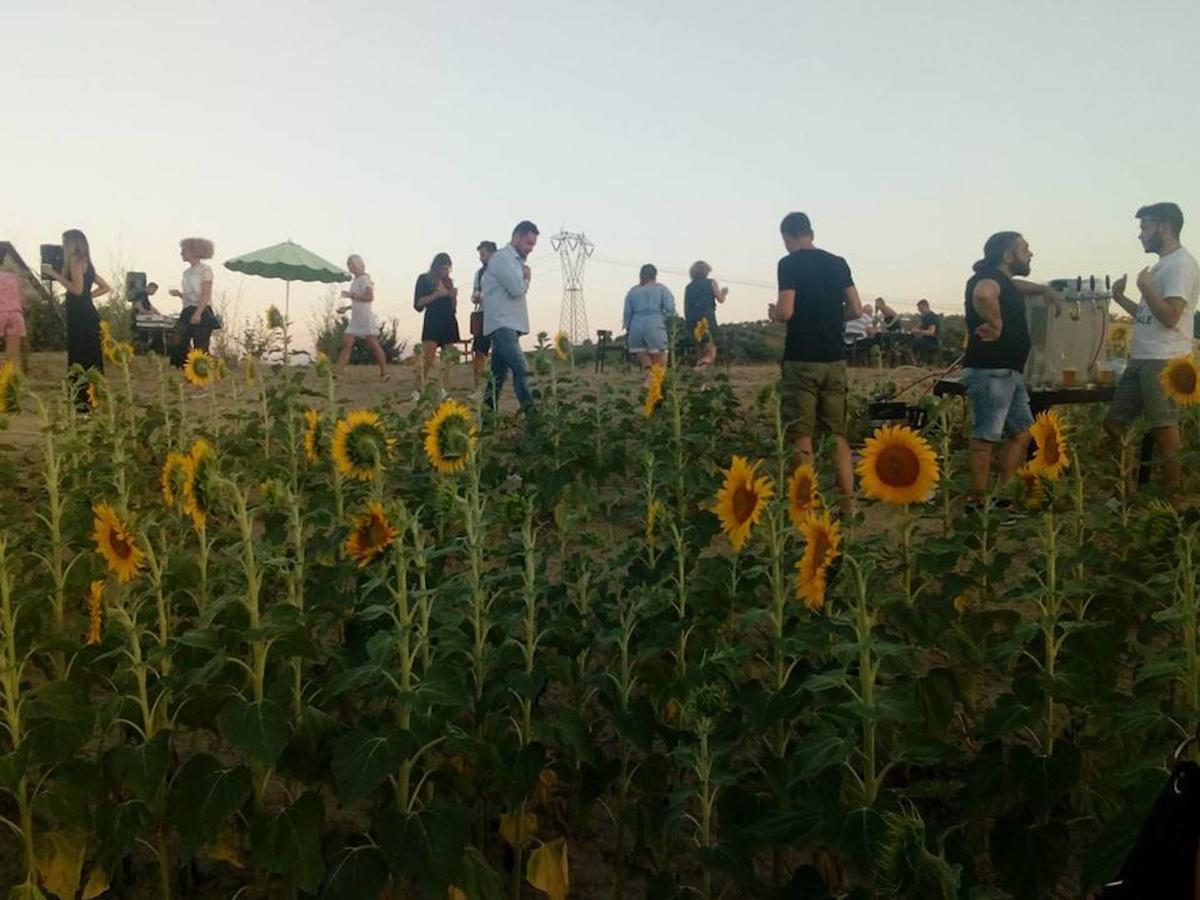 Agriturismo Cignale Penne エクステリア 写真