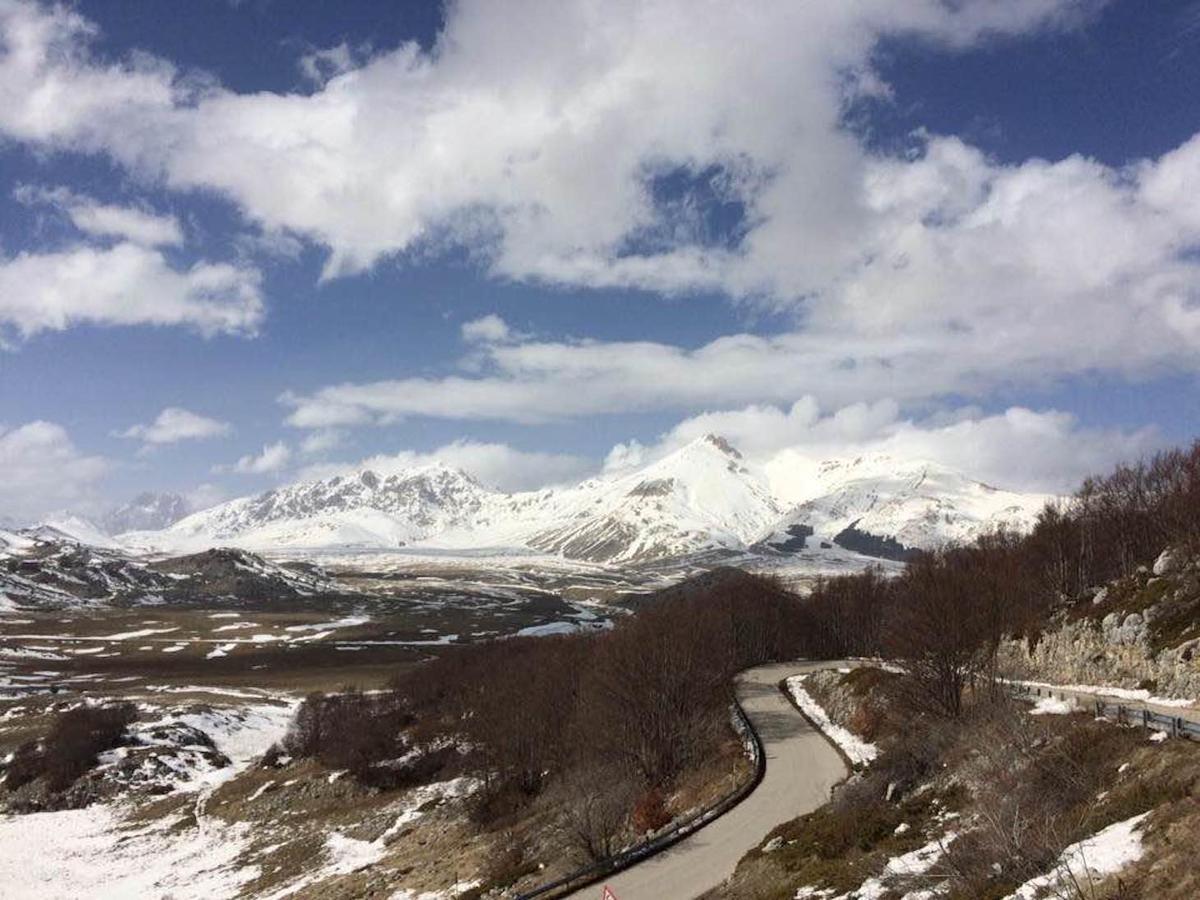 Agriturismo Cignale Penne エクステリア 写真
