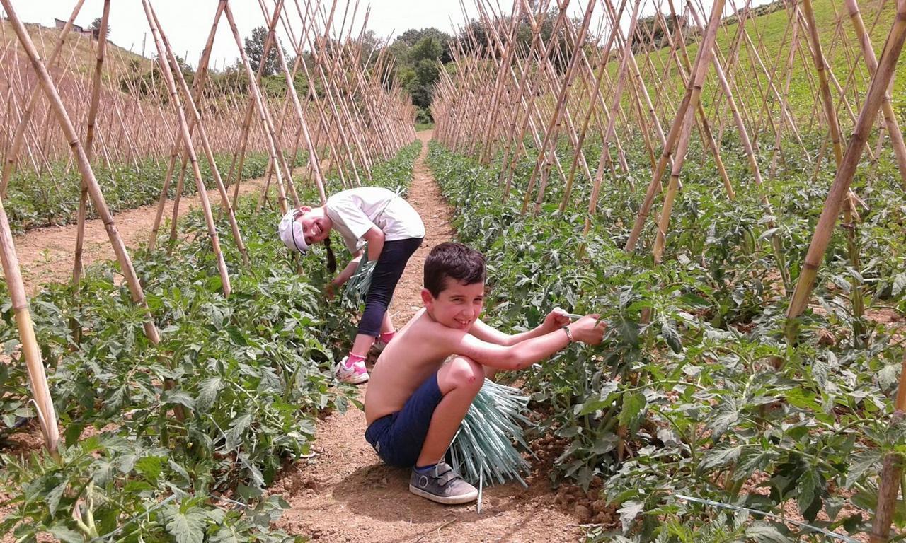 Agriturismo Cignale Penne エクステリア 写真
